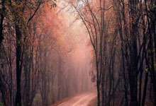 乐鱼体育官网网页版-王牌出击！北京队亮剑之战蓄势待发