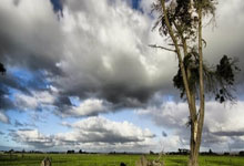 Leyu-英雄泪！葡萄牙黄金时代终结？官方名单引爆足坛地震