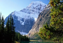 leyu乐鱼体育中国-绿茵场惊现金州图腾！拜仁慕尼黑隔空约战斯蒂芬·库里