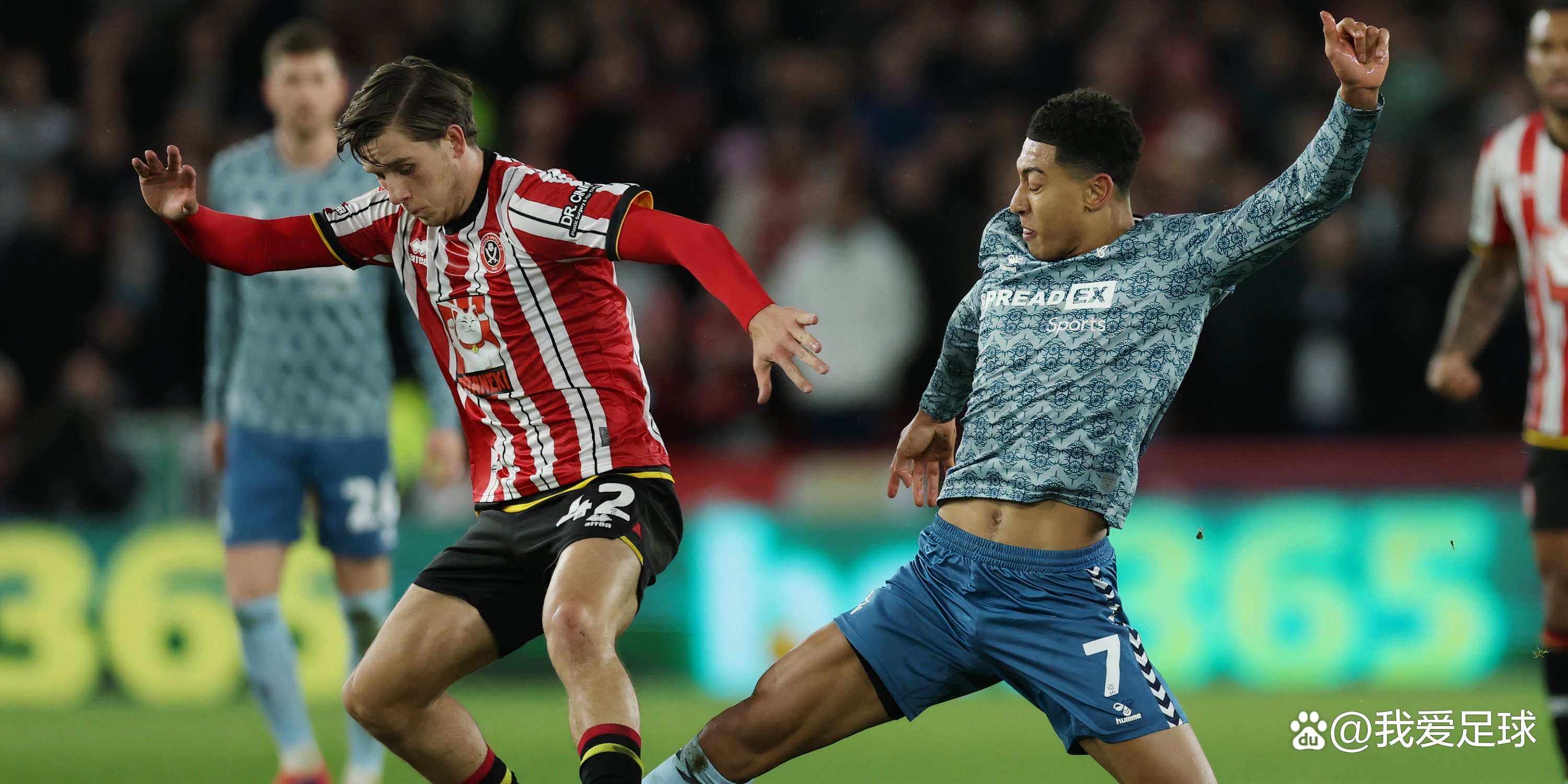 -谢菲联新晋土炮喜获进球球迷喜出望外