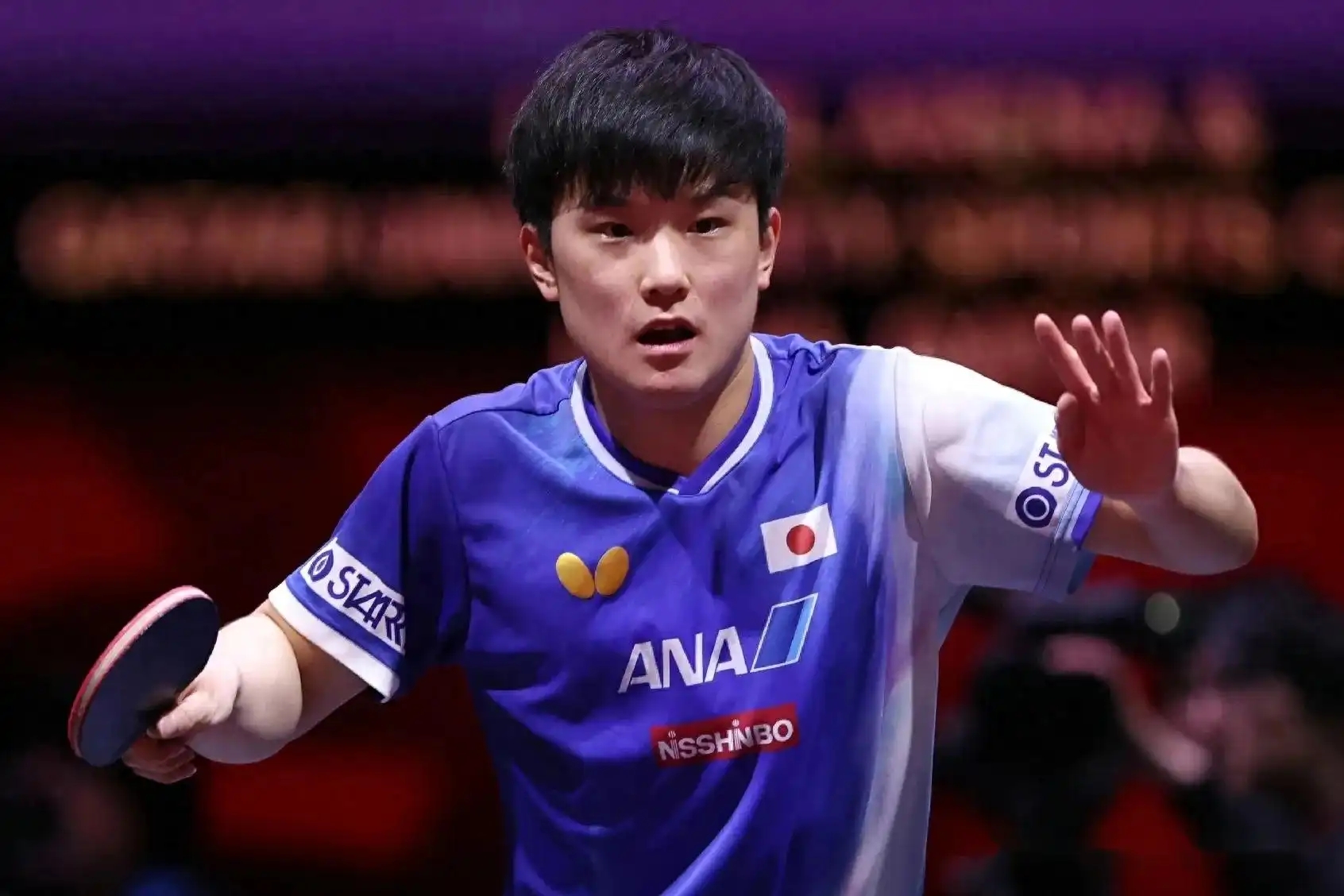 波兰乒乓球队碾压日本乒乓球队,张本智和惊艳世界 波兰乒乓球队碾压日本乒乓球队,张本智和惊艳世界